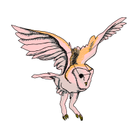 Drawing Animals Drawing Animals