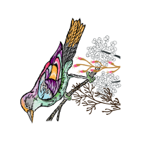 Drawing Animals Drawing Animals