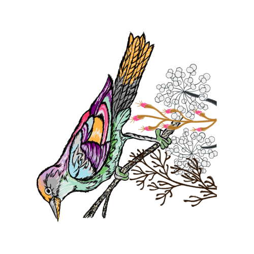 Drawing Animals Drawing Animals