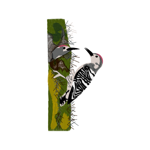 Drawing Animals Drawing Animals