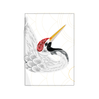 Drawing Animals Drawing Animals