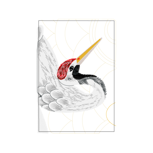 Drawing Animals Drawing Animals