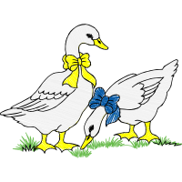 Drawing Animals Drawing Animals