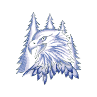 Drawing Animals Drawing Animals