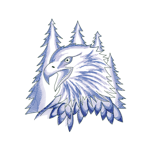 Drawing Animals Drawing Animals