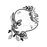 Drawing Animals Drawing Animals