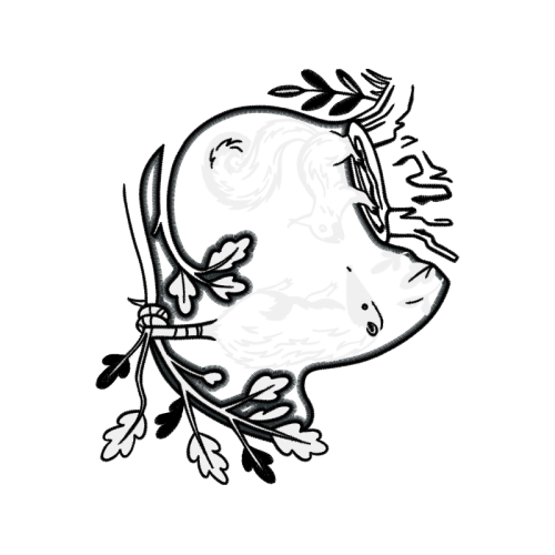 Drawing Animals Drawing Animals