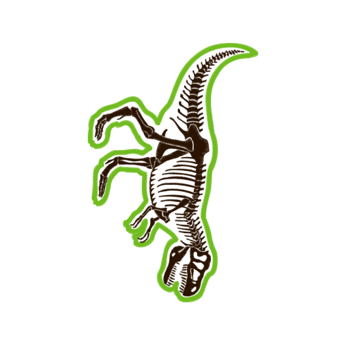 Drawing Animals Drawing Animals