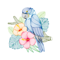 Drawing Animals Drawing Animals