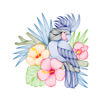 Drawing Animals Drawing Animals