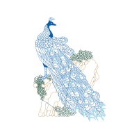 Drawing Animals Drawing Animals