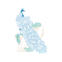 Drawing Animals Drawing Animals