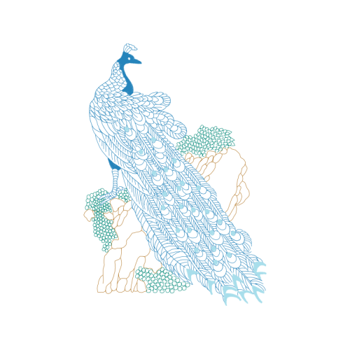 Drawing Animals Drawing Animals