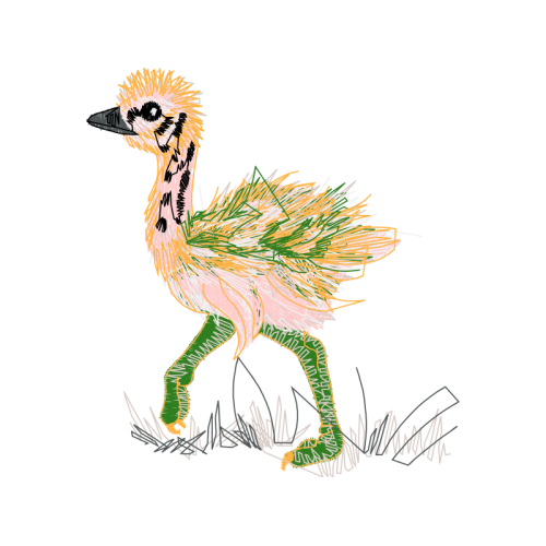 Drawing Animals Drawing Animals