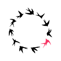 Drawing Animals Drawing Animals