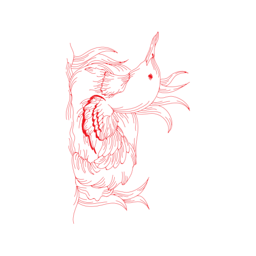 Drawing Animals Drawing Animals