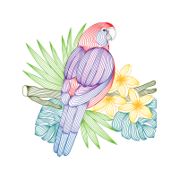 Drawing Animals Drawing Animals