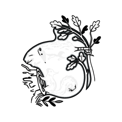 Drawing Animals Drawing Animals