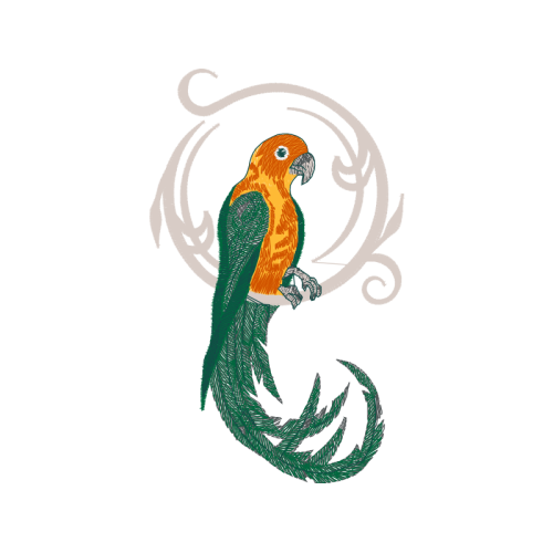 Drawing Animals Drawing Animals