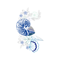 Drawing Animals Drawing Animals