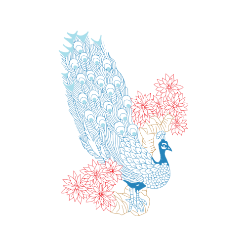 Drawing Animals Drawing Animals