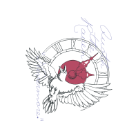 Drawing Animals Drawing Animals