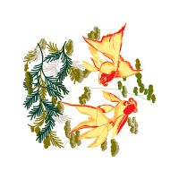 Drawing Animals Drawing Animals