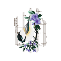 Drawing Animals Drawing Animals