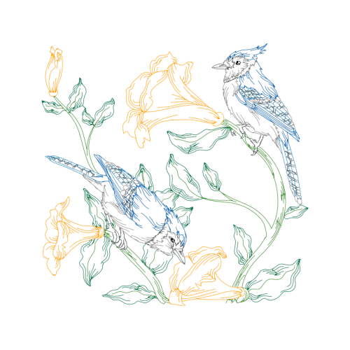 Drawing Animals Drawing Animals