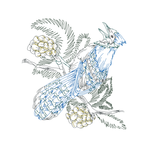 Drawing Animals Drawing Animals