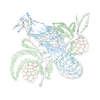 Drawing Animals Drawing Animals