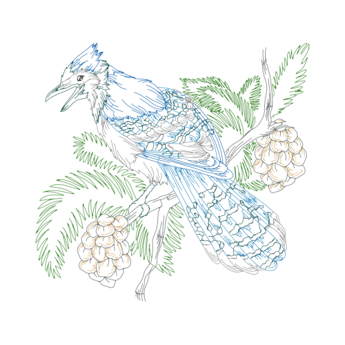 Drawing Animals Drawing Animals