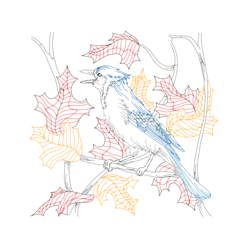 Drawing Animals Drawing Animals