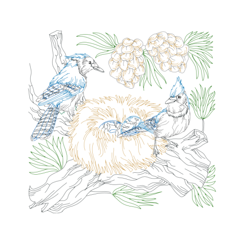 Drawing Animals Drawing Animals