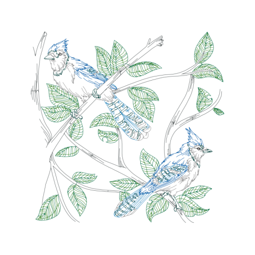 Drawing Animals Drawing Animals