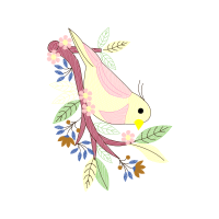 Drawing Animals Drawing Animals