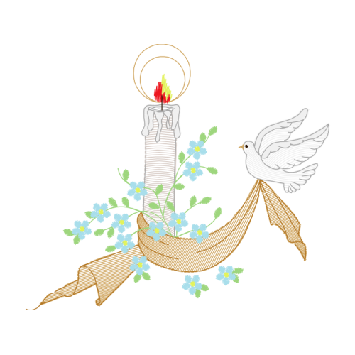 Drawing Animals Drawing Animals