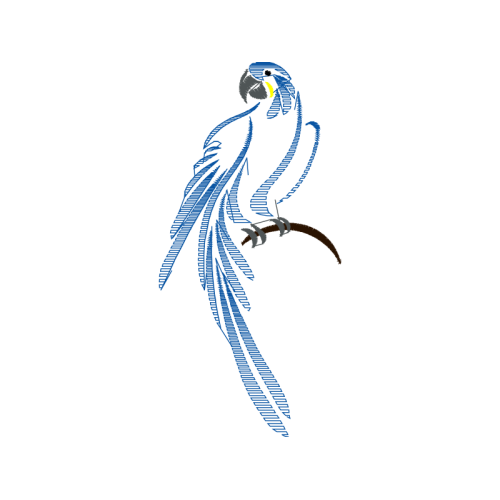 Drawing Animals Drawing Animals