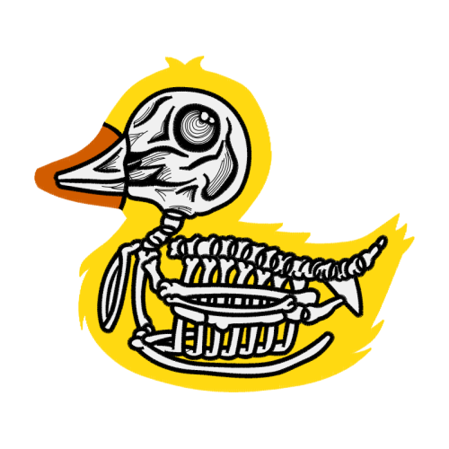 Duck Animals Duck Animals