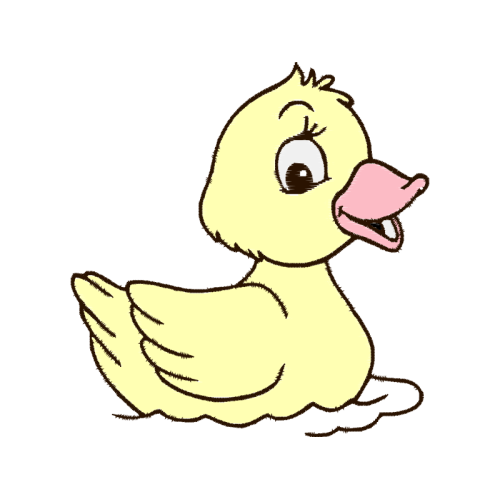 Duck Animals Duck Animals