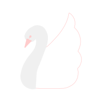 Duck Animals Duck Animals