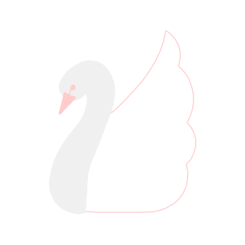 Duck Animals Duck Animals