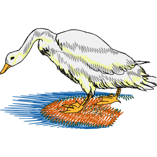 Duck Animals Duck Animals