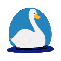 Duck Animals Duck Animals