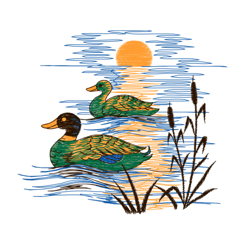 Duck Animals Duck Animals