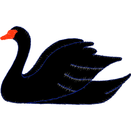 Duck Animals Duck Animals