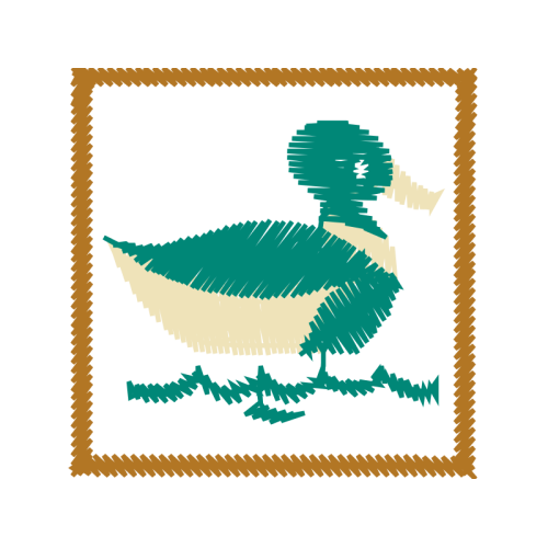 Duck Animals Duck Animals