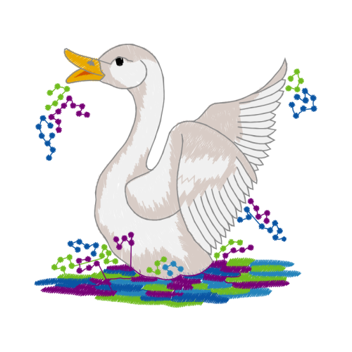 Duck Animals Duck Animals