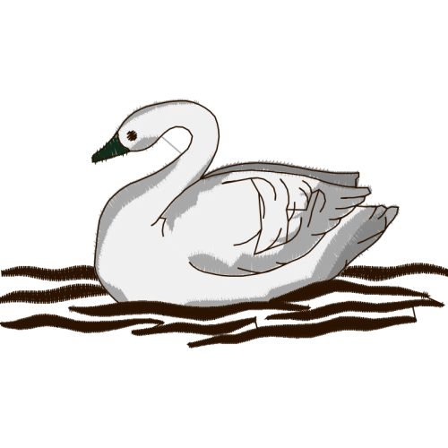 Duck Animals Duck Animals