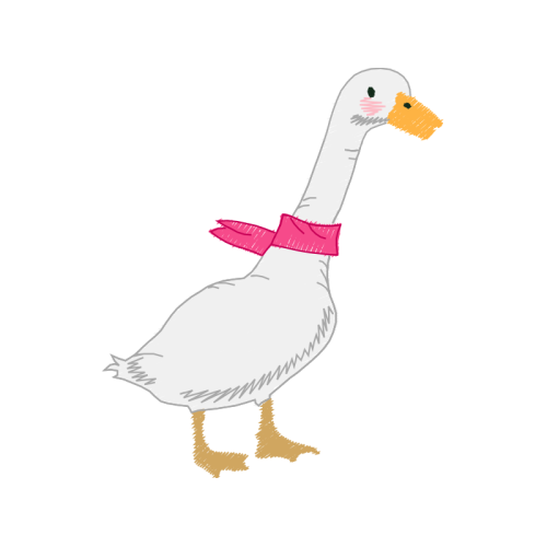 Duck Animals Duck Animals